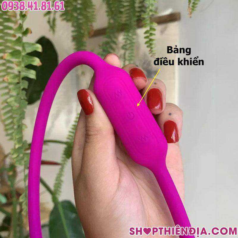 Bảng điều khiển trứng rung 2 đầu dạng dây Whip