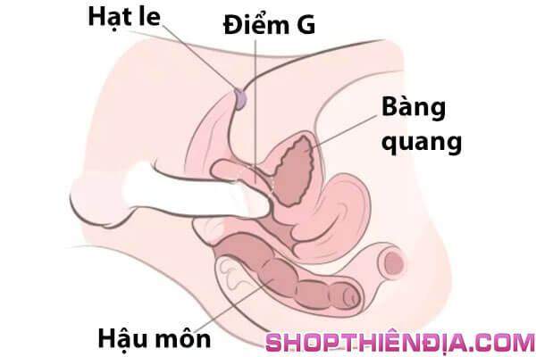 Cách làm tình Góc độ tốt nhất khi đút dương vật vào để kích thích điểm G