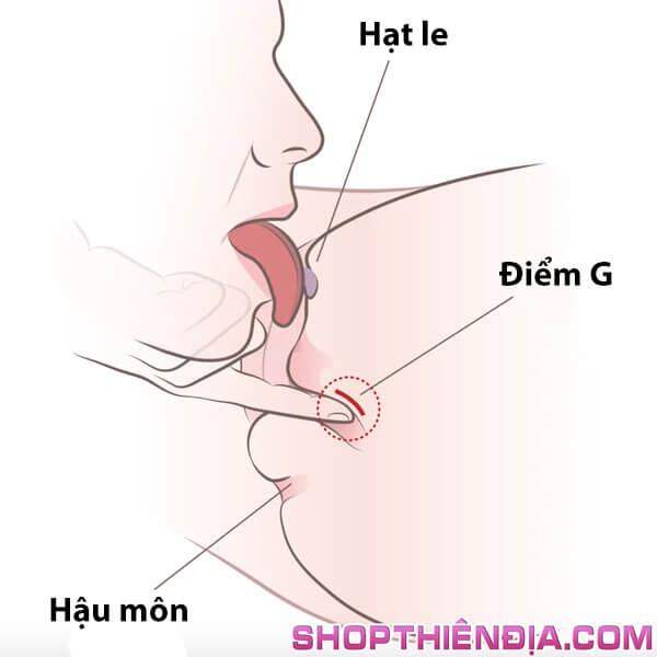 Cách làm tình Sử dụng tay và miệng khi liếm âm vật