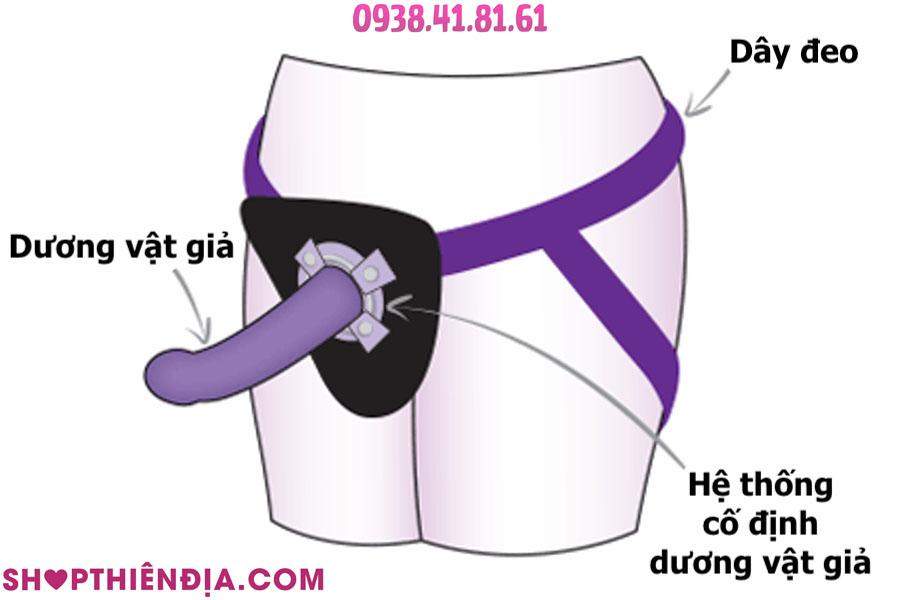 Cấu tạo dương vật giả có dây đeo